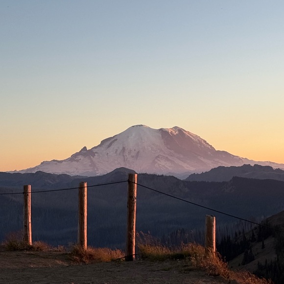 Meet your Posher, Alyssa - Picture 4 of 15